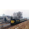 0305-27.jpg