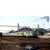 0306-06.jpg