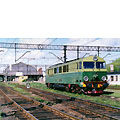 0312-08.jpg