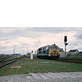 0312-09.jpg