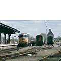 0312-14.jpg