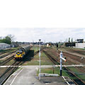 0312-15.jpg