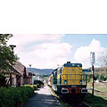 0314-33.jpg