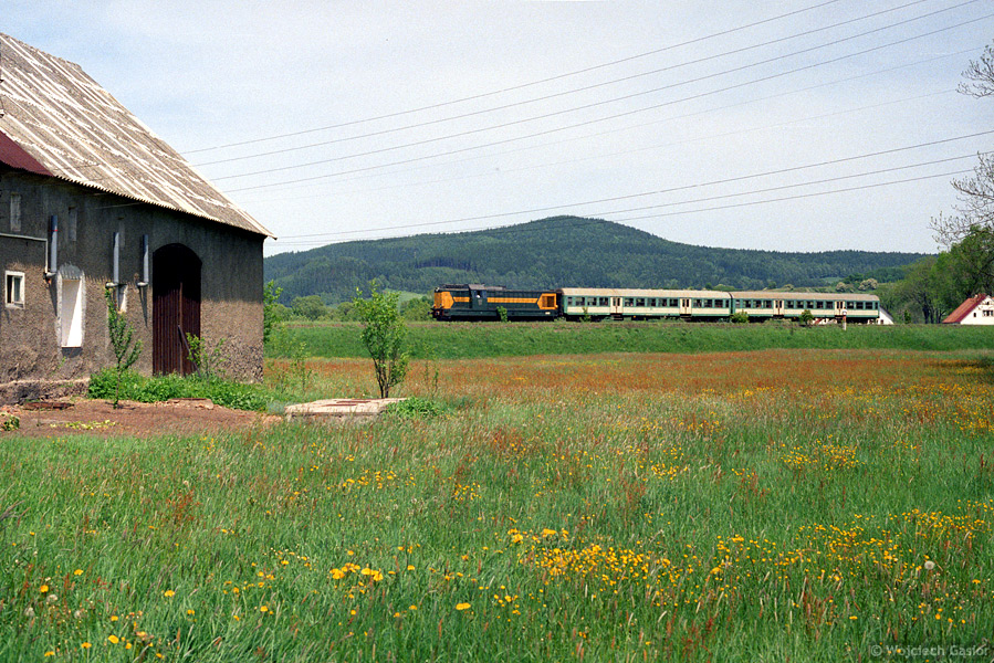 0315-12.jpg