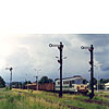 0317-32.jpg