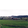 0317-34.jpg