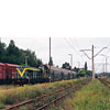 0319-05.jpg