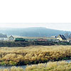 0338-15.jpg