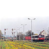 0406-19.jpg