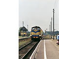 0427-05.jpg