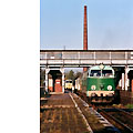 0427-35.jpg