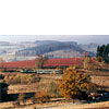 0428-21.jpg