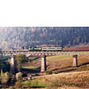 0428-23.jpg