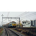 0429-08.jpg