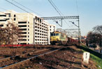 0432-26.jpg