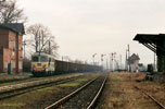 0433-12.jpg