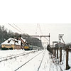 0503-11.jpg