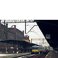 0505-05.jpg