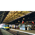 0506-29.jpg