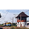 0515-06.jpg