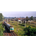 0515-18.jpg