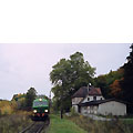 0530-08.jpg