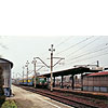 0533-26.jpg