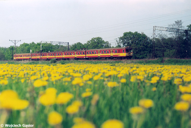0607-10.jpg
