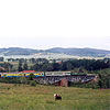 0610-25.jpg