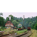 0611-16.jpg