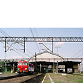 0616-23.jpg