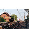 0617-25.jpg