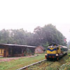0618-05.jpg
