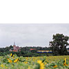 0618-13.jpg