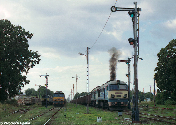 0619-03.jpg