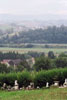 0619-29.jpg