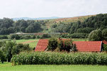 0619-31.jpg