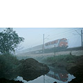 0624-36a.jpg