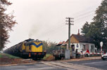 0626-01.jpg