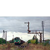 0733-29a.jpg