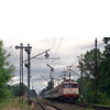 0809-09.jpg