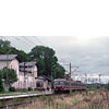 0809-14.jpg