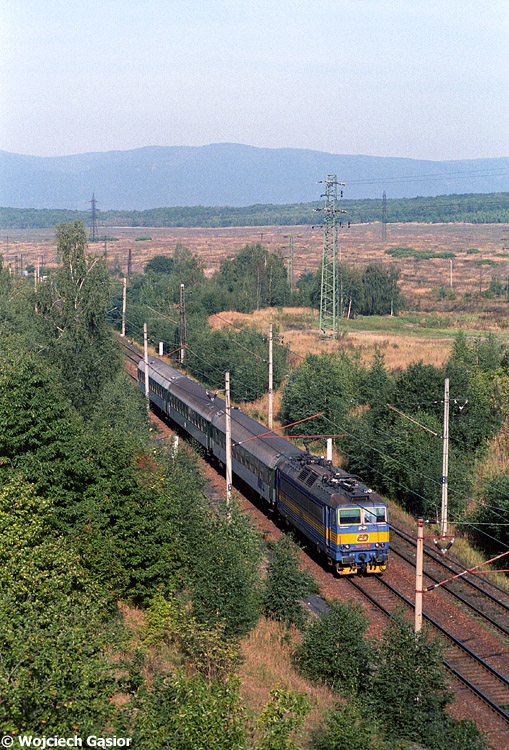 0813-07.jpg