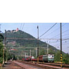 0813-10.jpg