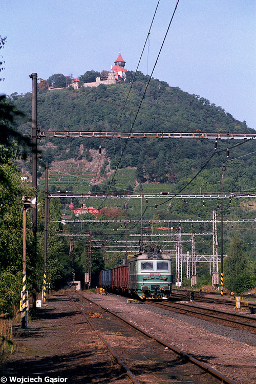 0813-11.jpg