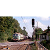0815-37.jpg