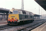 2000o-34.jpg