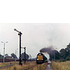 2001q-33a.jpg
