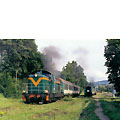 2002n-20a.jpg