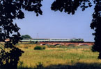 2002t-08.jpg